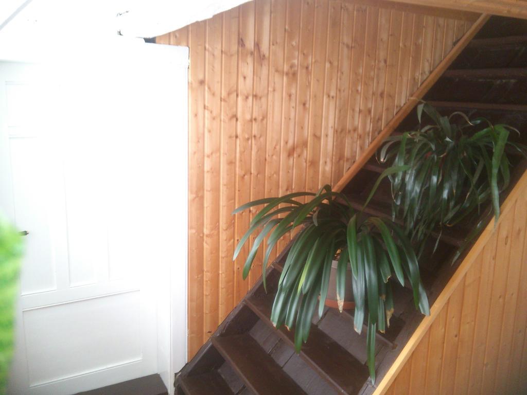 Apartman 141 Chřibská Kamer foto