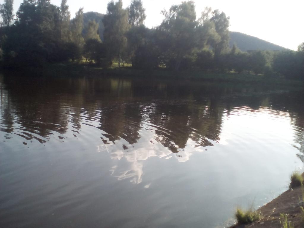 Apartman 141 Chřibská Buitenkant foto
